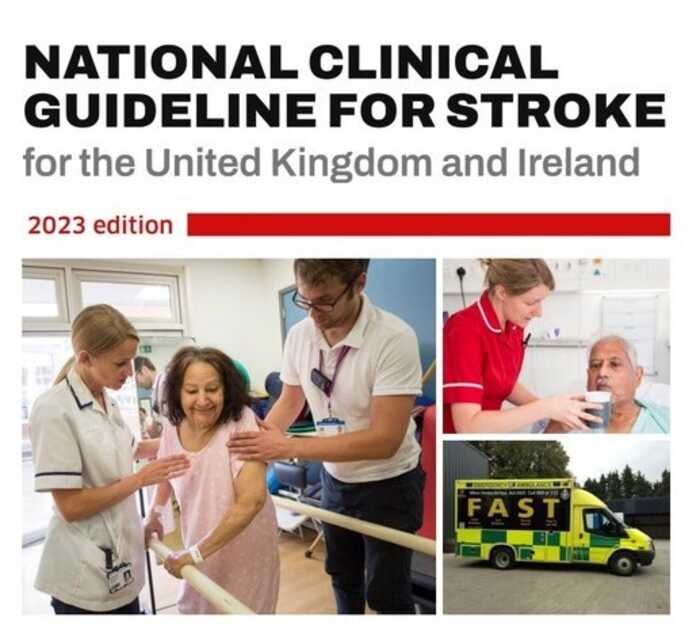 national clinical guidelines for stroke 2023